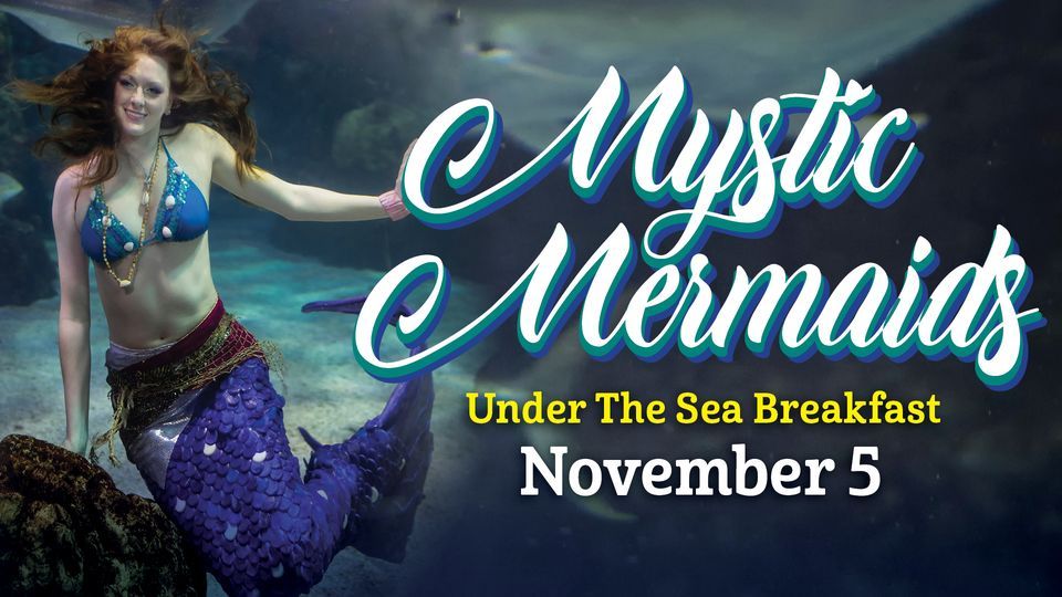 Mystic Mermaids Under The Sea Breakfast
