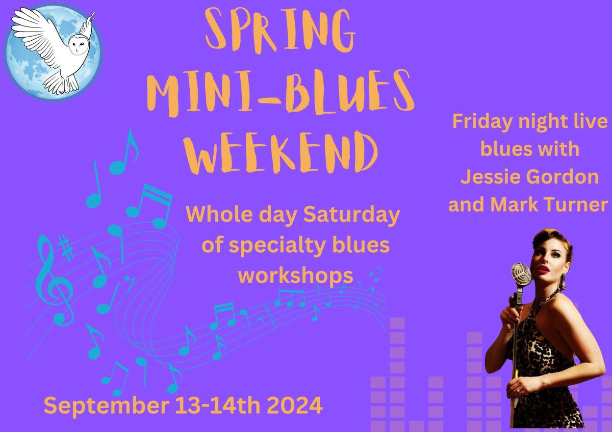 Spring Mini-Blues weekend
