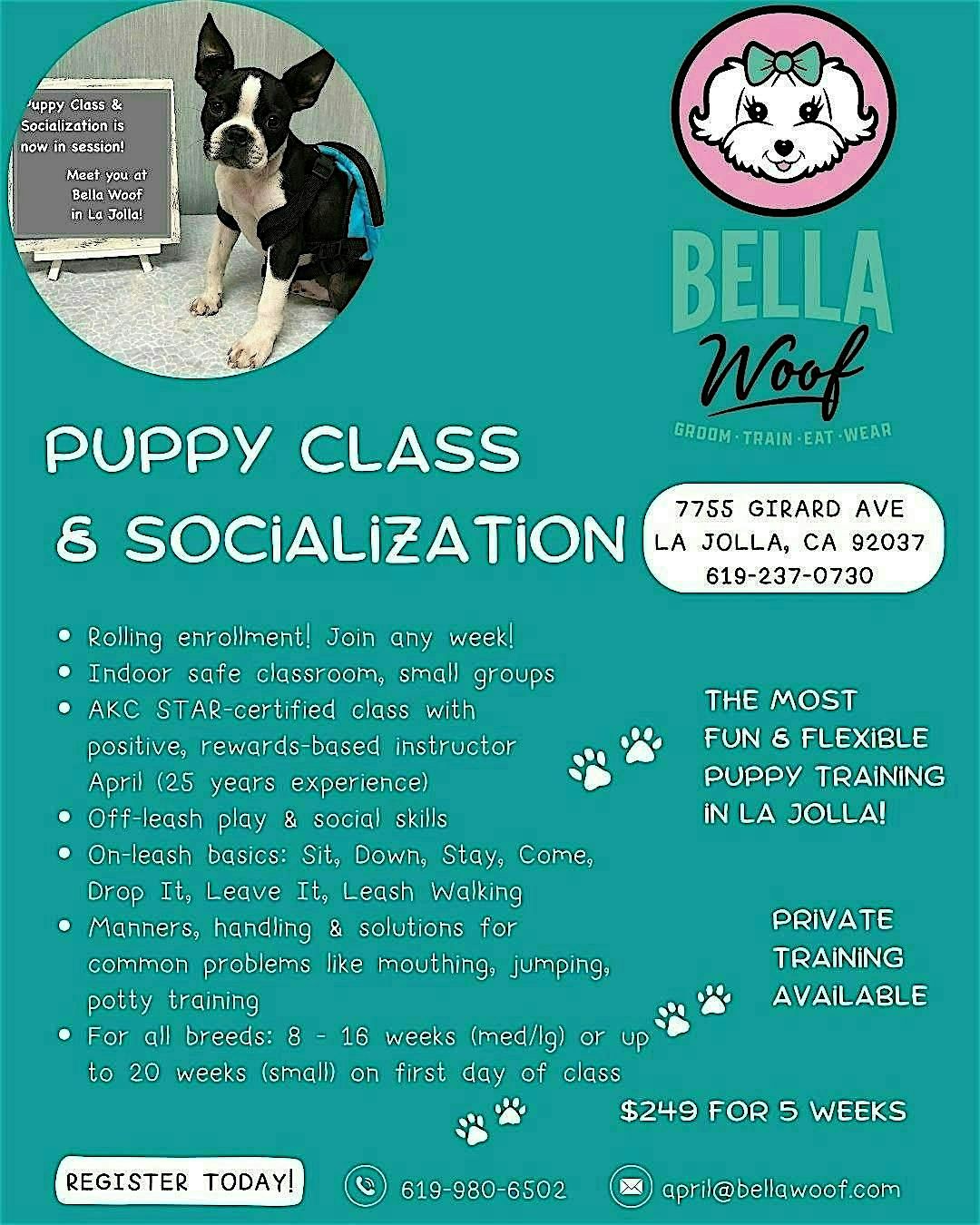 Puppy Socialization & Training Classes in La Jolla