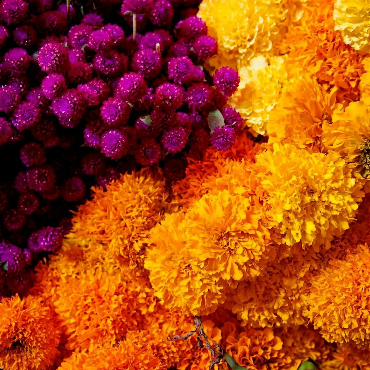 D\u00eda de Muertos Floral Celebration Class