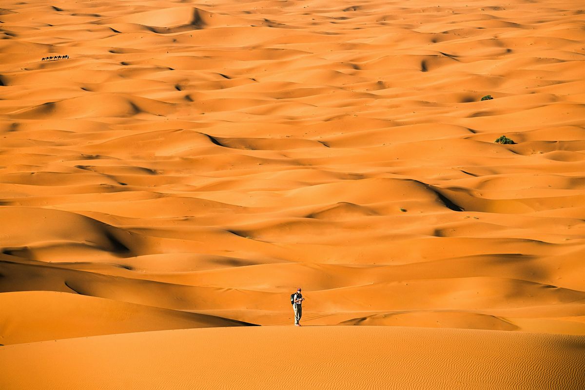 C\u00f3mo sobrevivir siendo fot\u00f3grafa