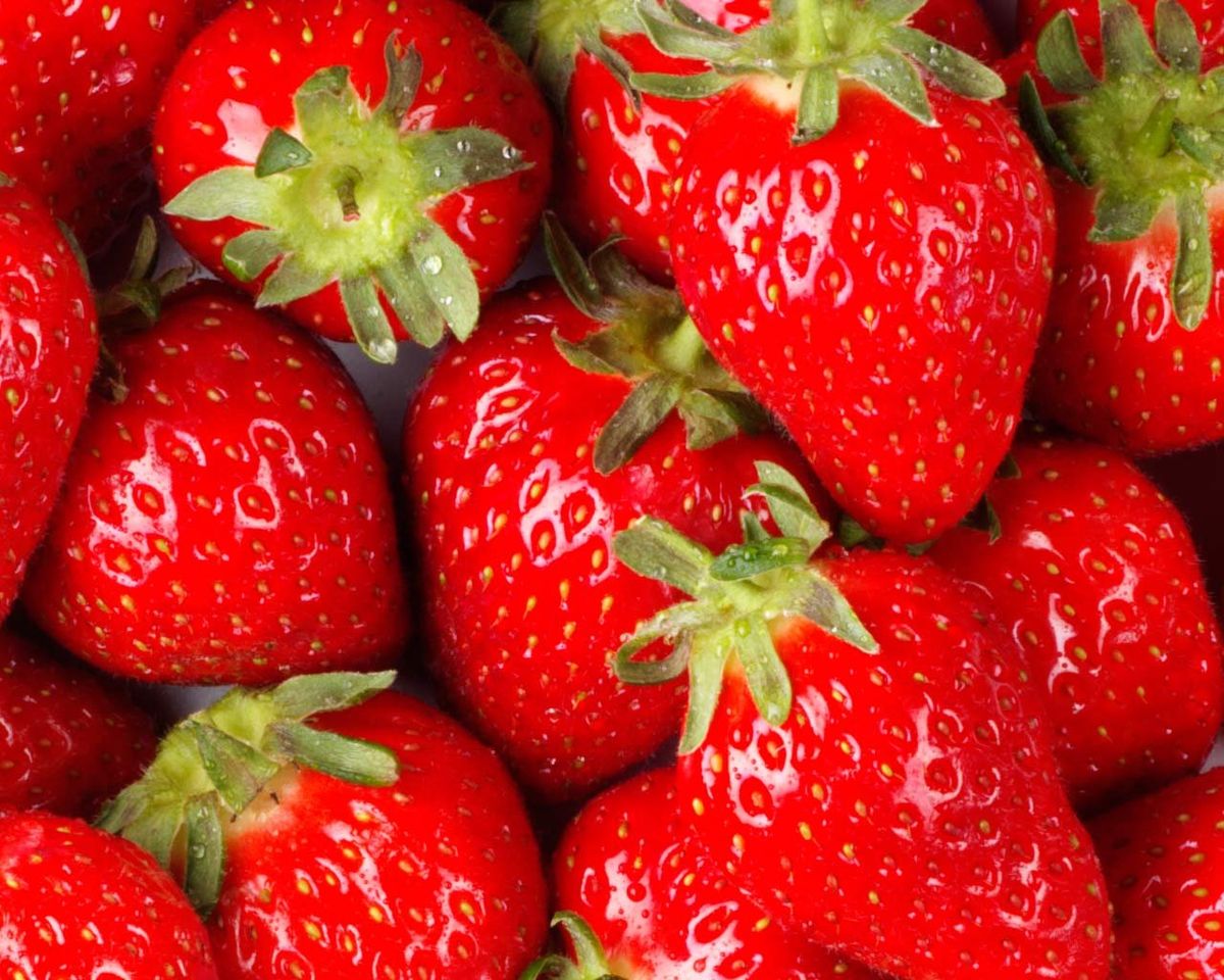 Strawberry Fest - Palm Coast - 8th Annual 