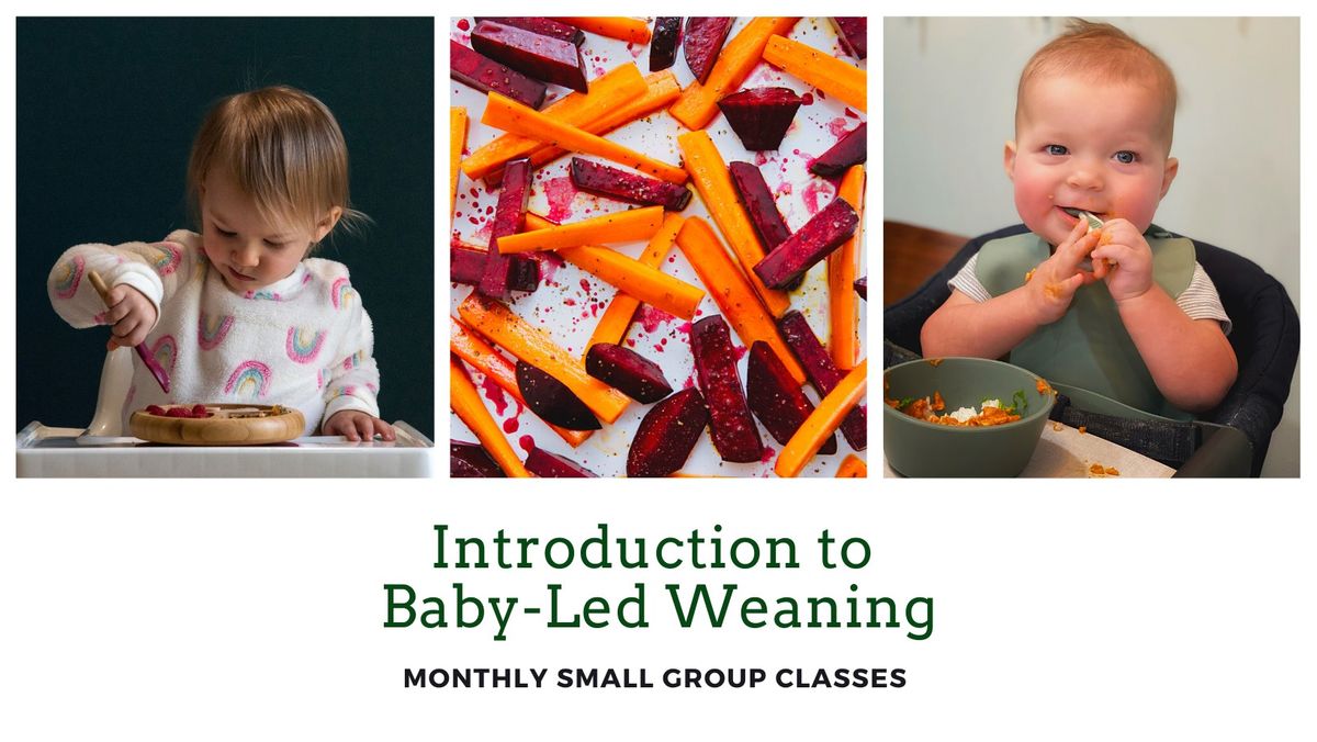 Introduction to Baby-Led Weaning