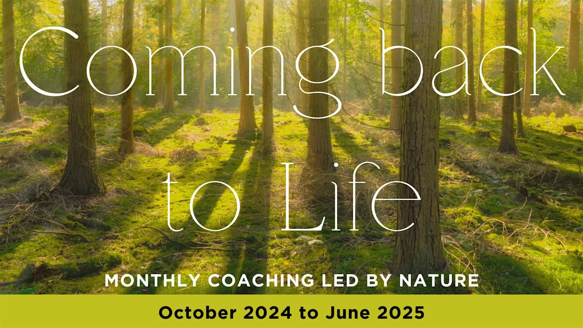 Coming Back to Life: October 2025 - June 2026