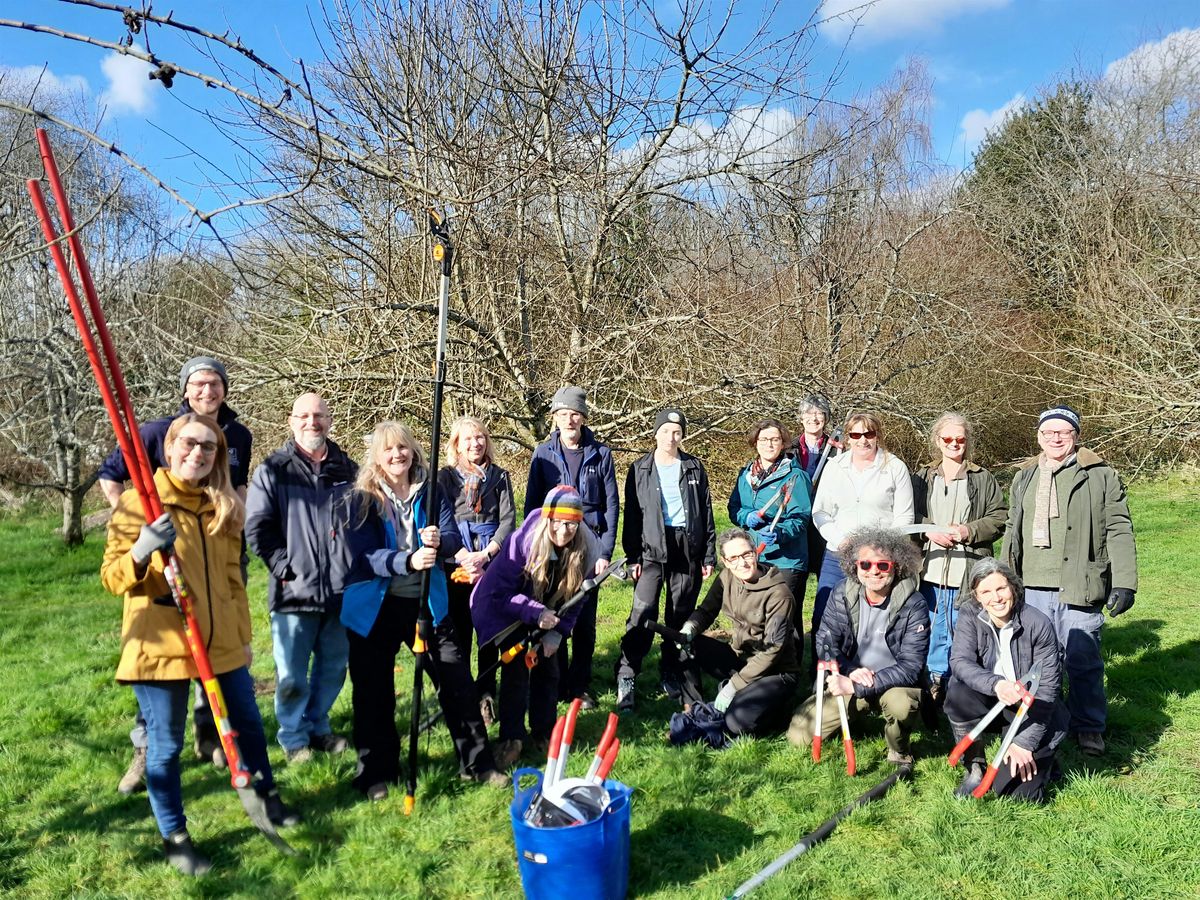 Fruit Tree Pruning Training