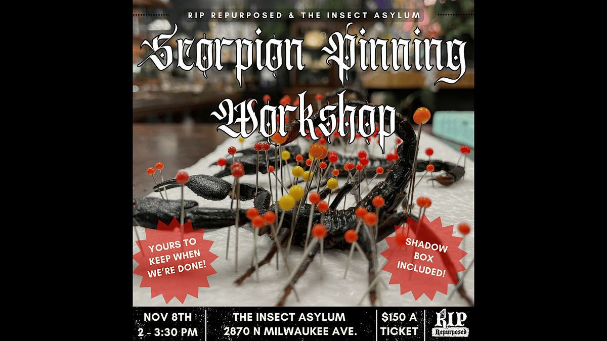 Scorpion Pinning Workshop with RIP Repurposed