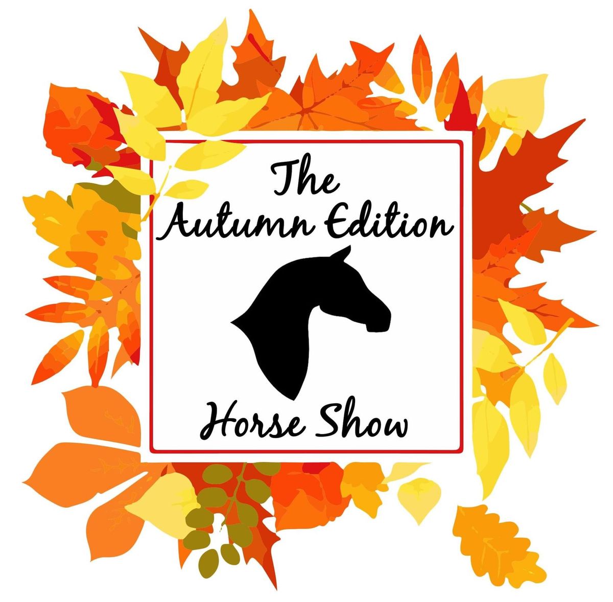 The Autumn Edition Horse Show 2024