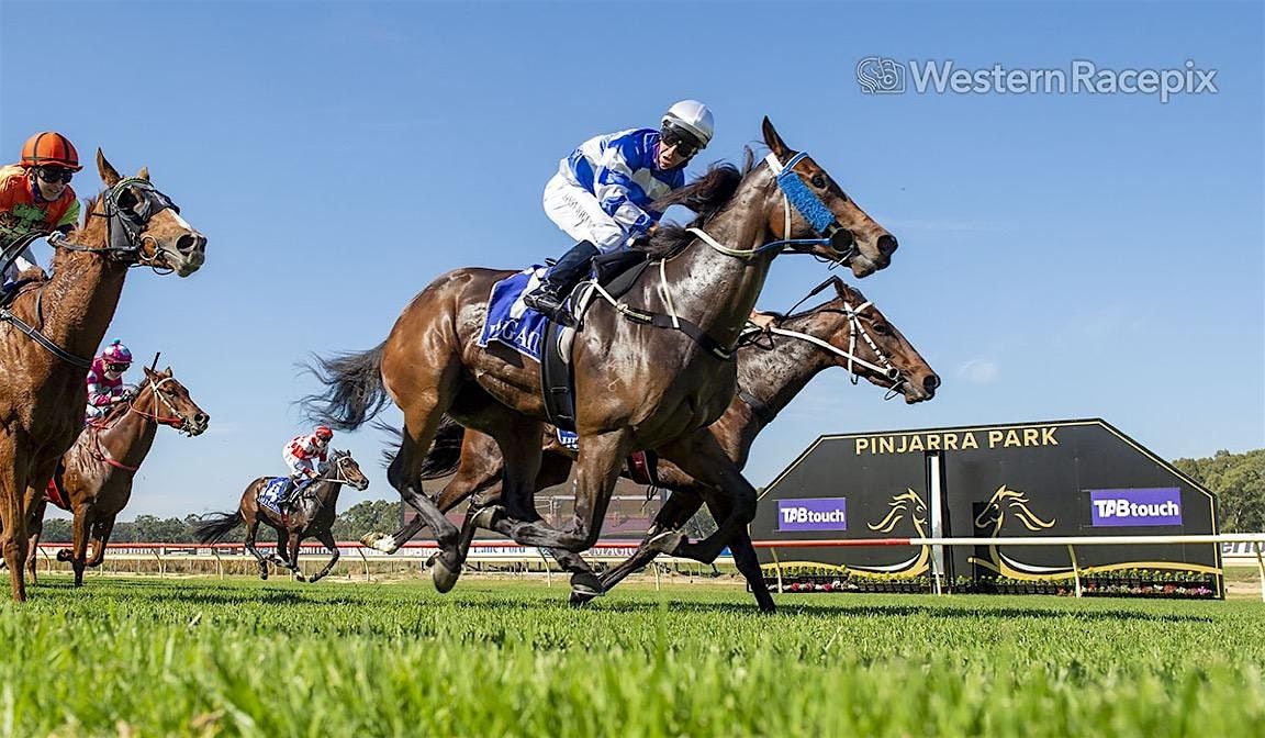 ALCOA GRANDSTAND CUP AND  XMAS FAMILY RACEDAY
