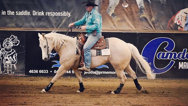 2-Day Matt Charles Reining Clinic