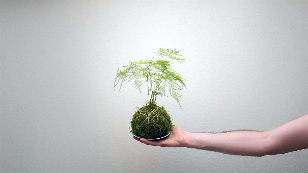 Kokedama Workshop @ Life's a Peach
