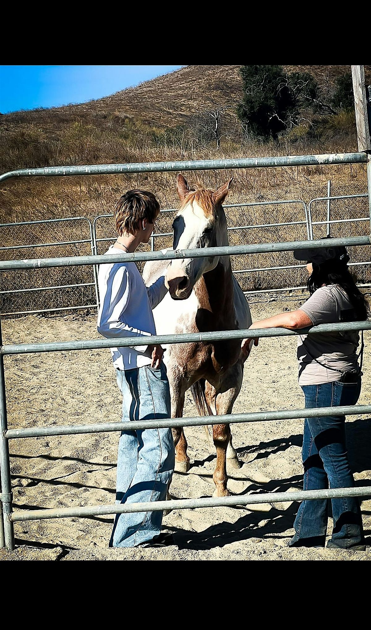 Community Equine Assisted Learning