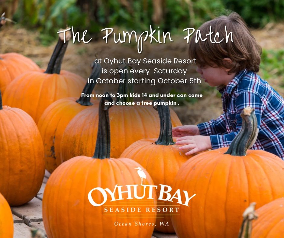 The Pumpkin Patch at Oyhut Bay