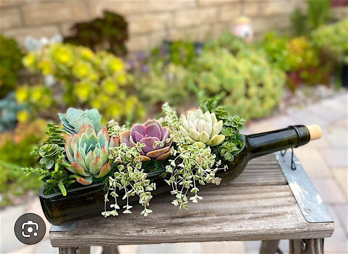 Hands-On Wine & Crafts: Bottled Blooms with Villa Succulent