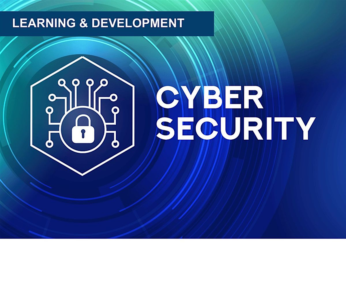 Cyber Security Training