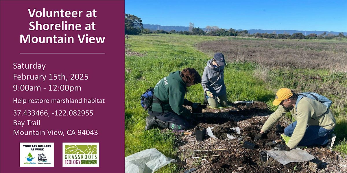 Volunteer Outdoors in Mountain View: Shoreline Marsh Habitat Restoration