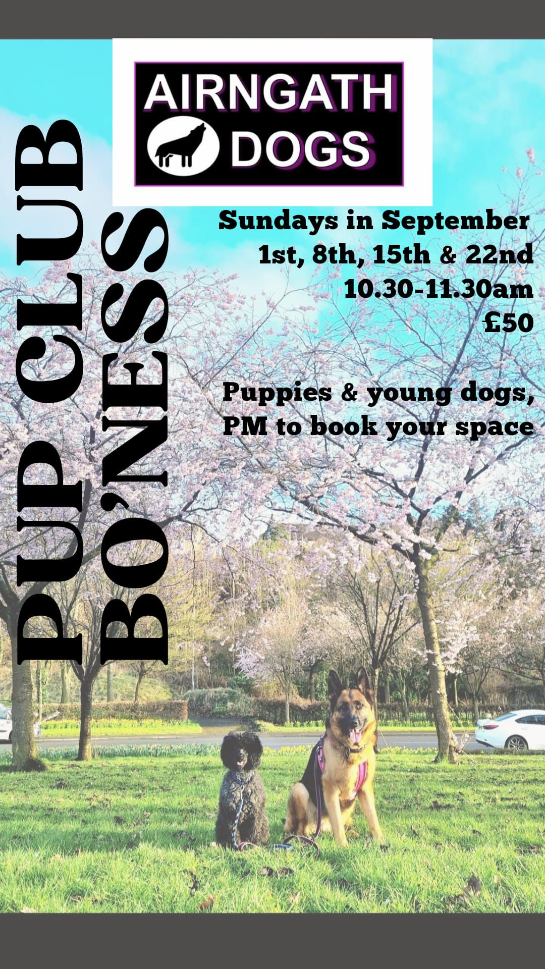 Pup Club in Bo'ness 