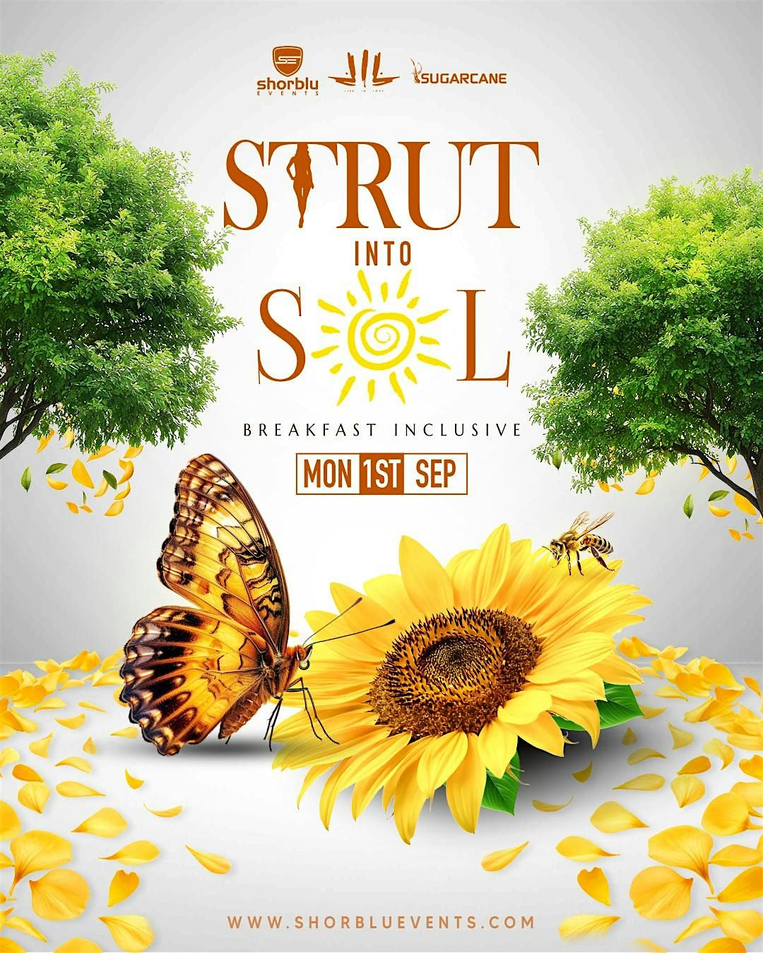 STRUT into SOL