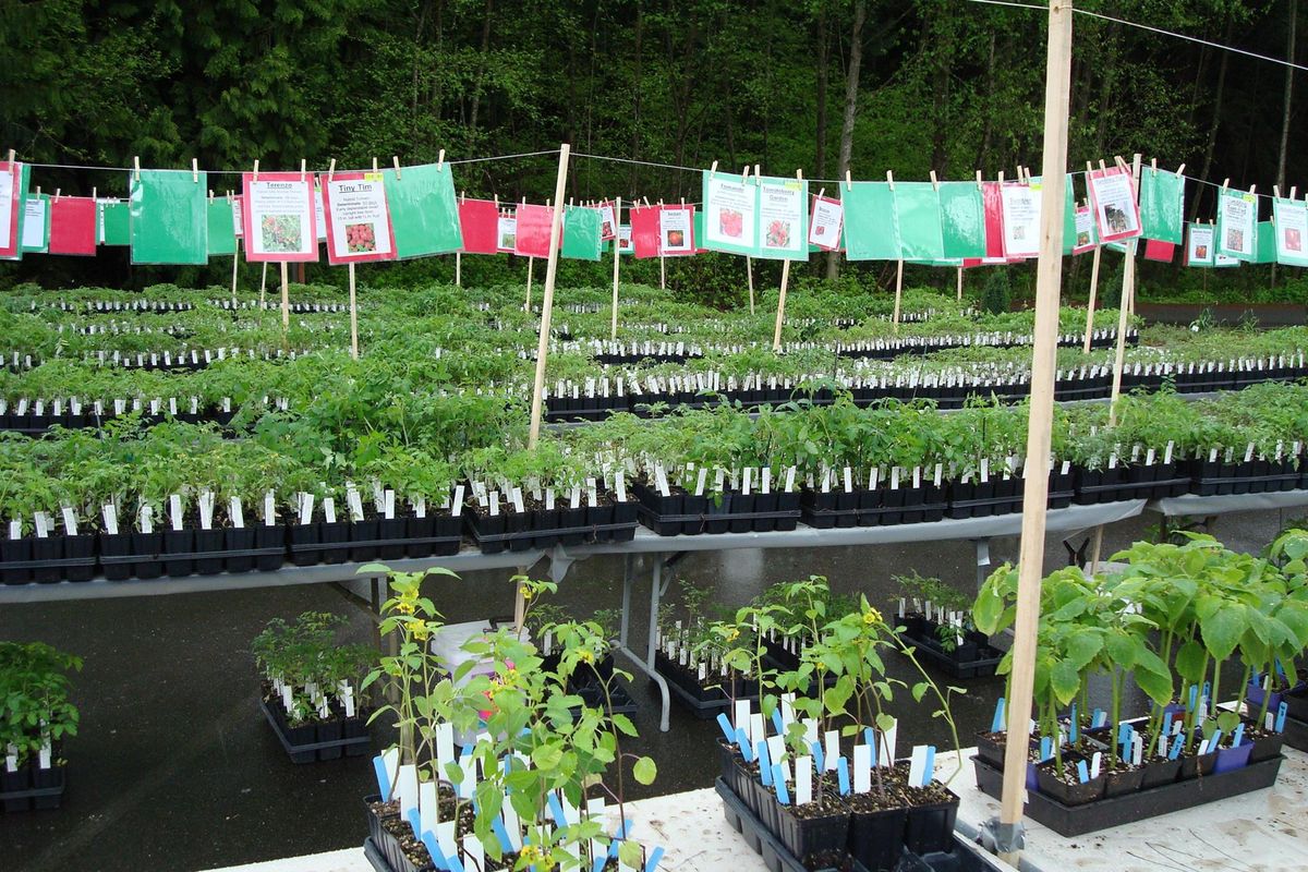 2025 Snohomish County WSU Master Gardener Plant Sale