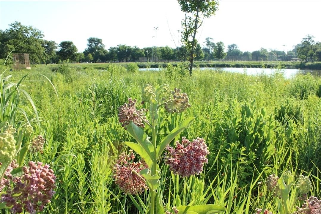 Autumn Nature Walk at Riis Park