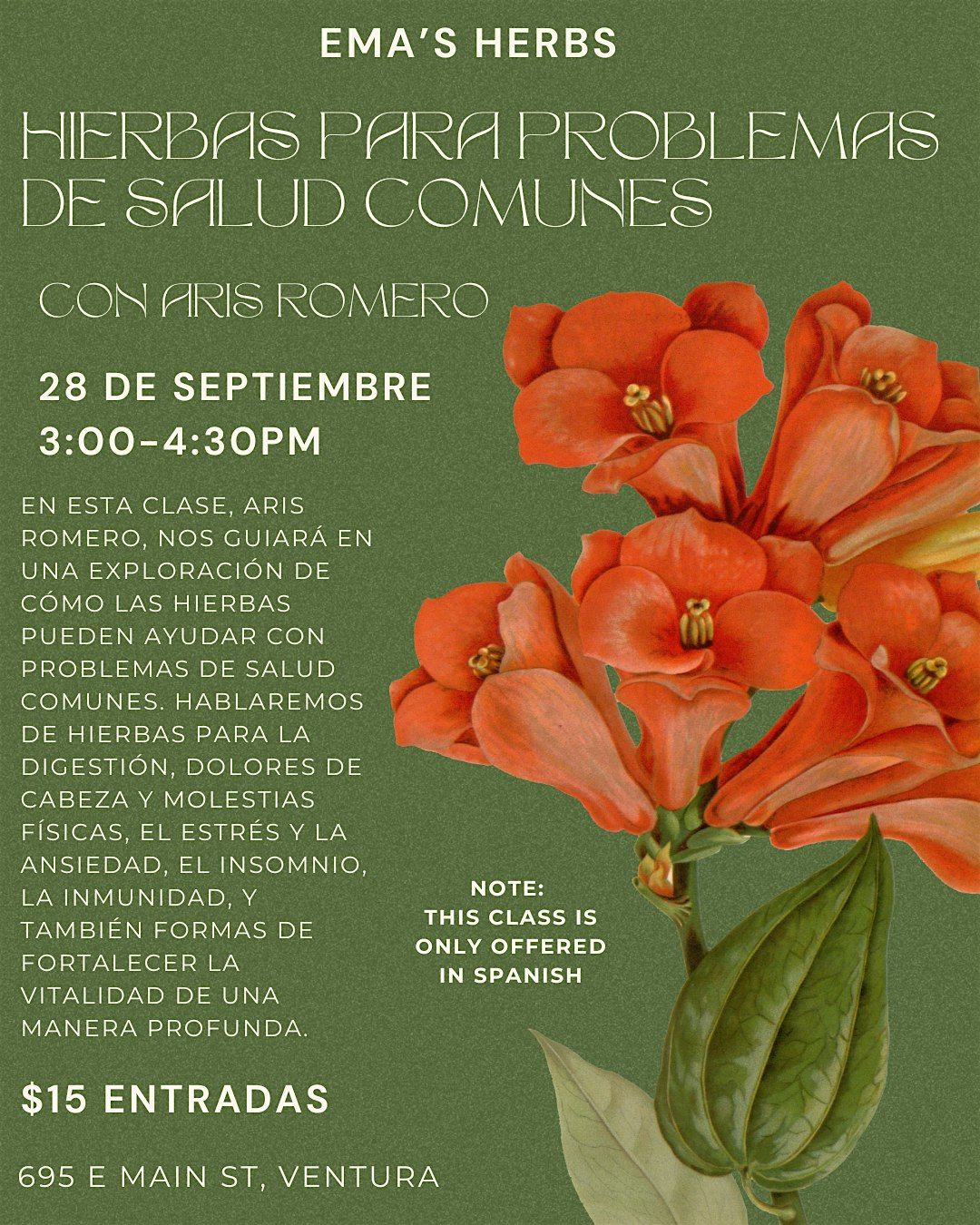 Hierbas para Problemas de Salud Comunes Con Aris Romero