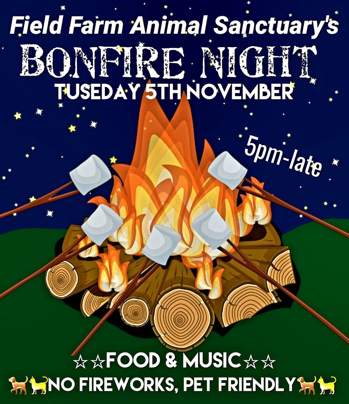 BONFIRE NIGHT