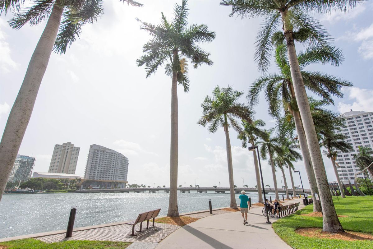 Taco 'Bout Tech with Northeastern University