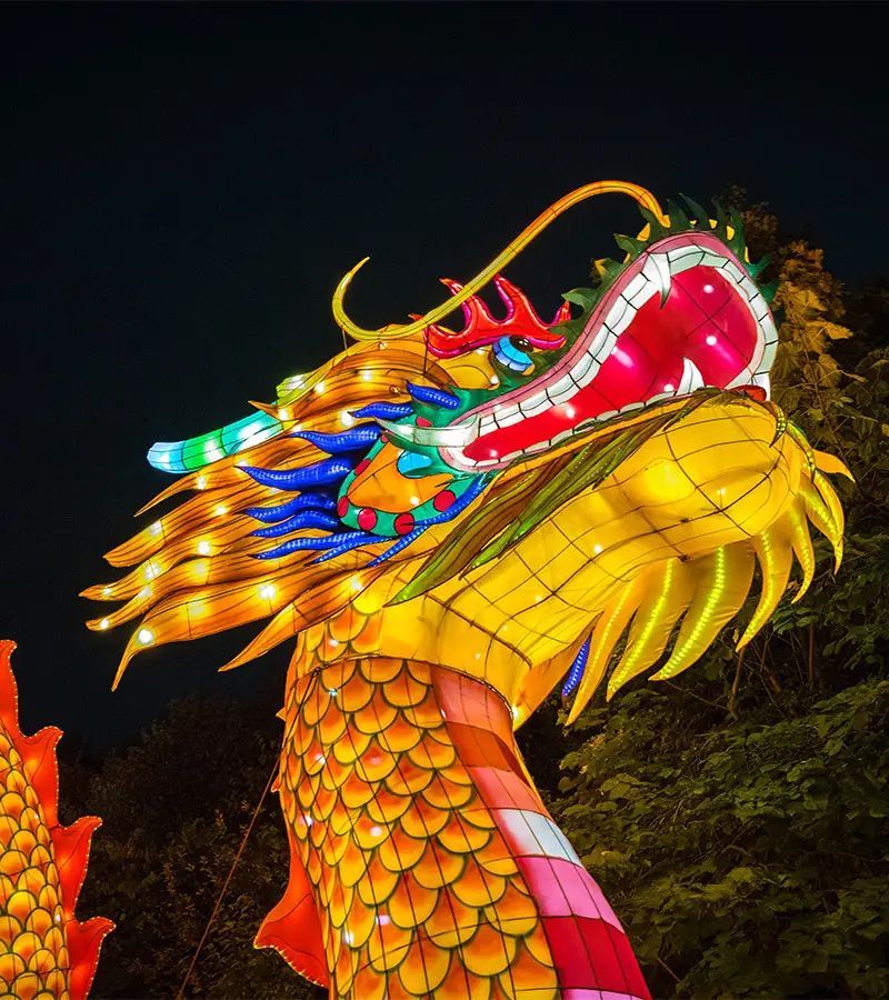 Excursion to Animals Aglow Lantern Festival at the St. Louis Zoo