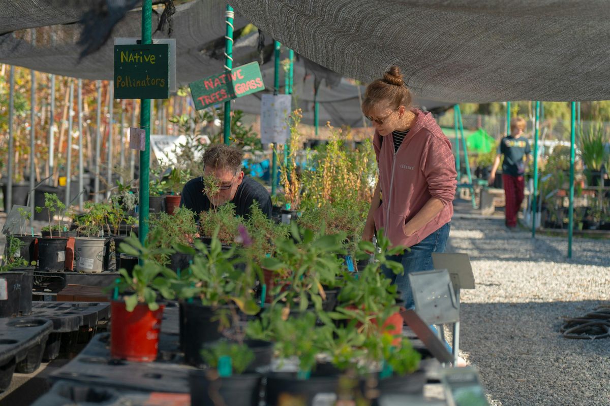 Nursery Stewardship Day (Second Saturday of the Month)