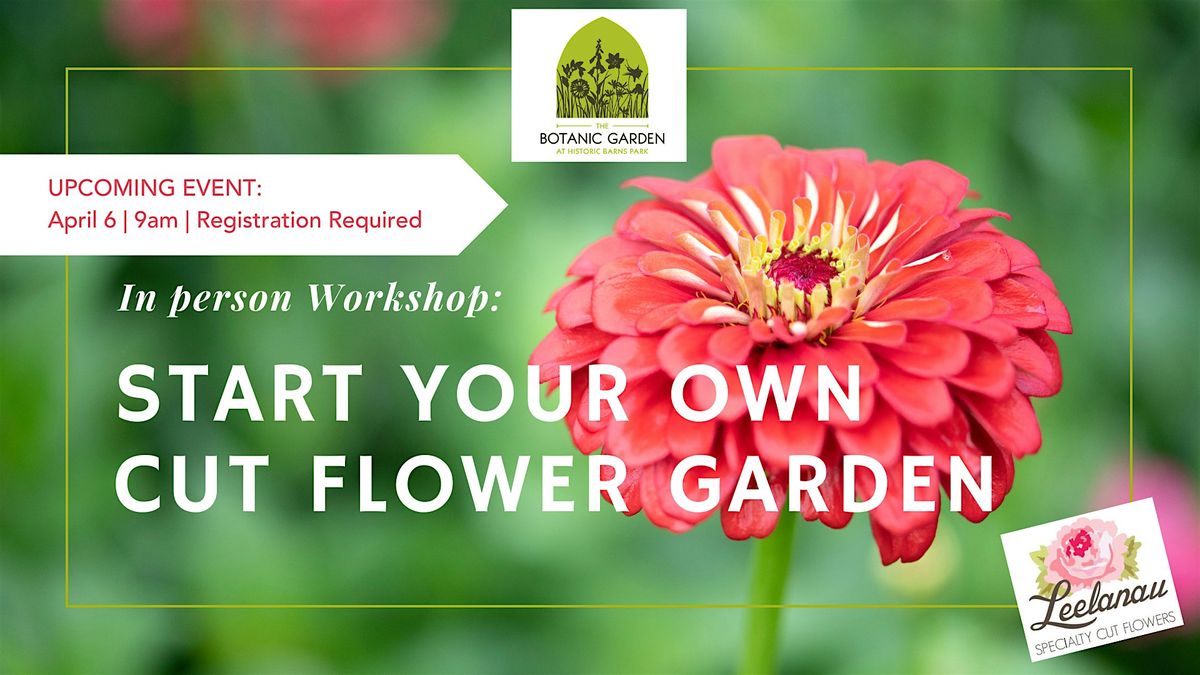 Start Your Own Cut Flower Garden