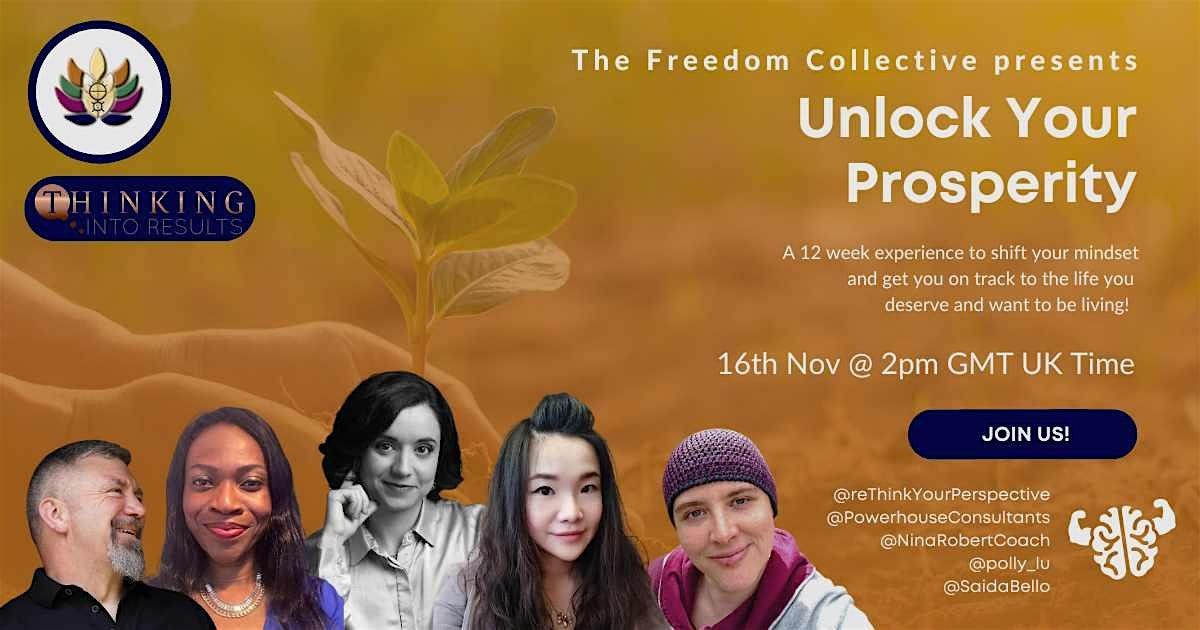 The Freedom Collective : Unlock Your Prosperity - Networking and Training