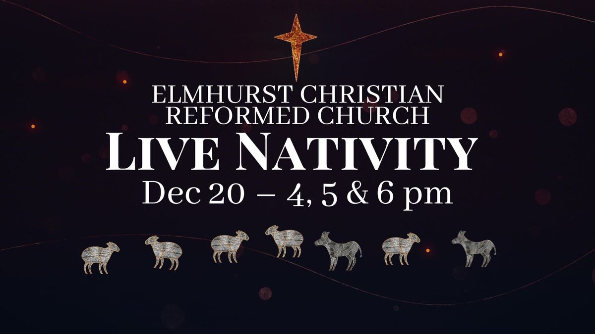 LIve Nativity