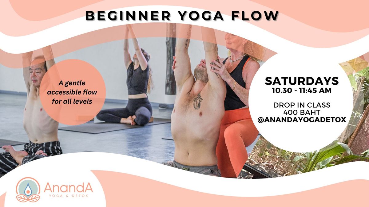 Beginner Yoga Flow