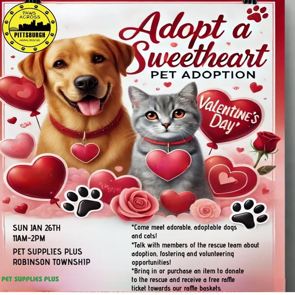 Paws Across Pittsburgh Valentines Pet Adoption Event