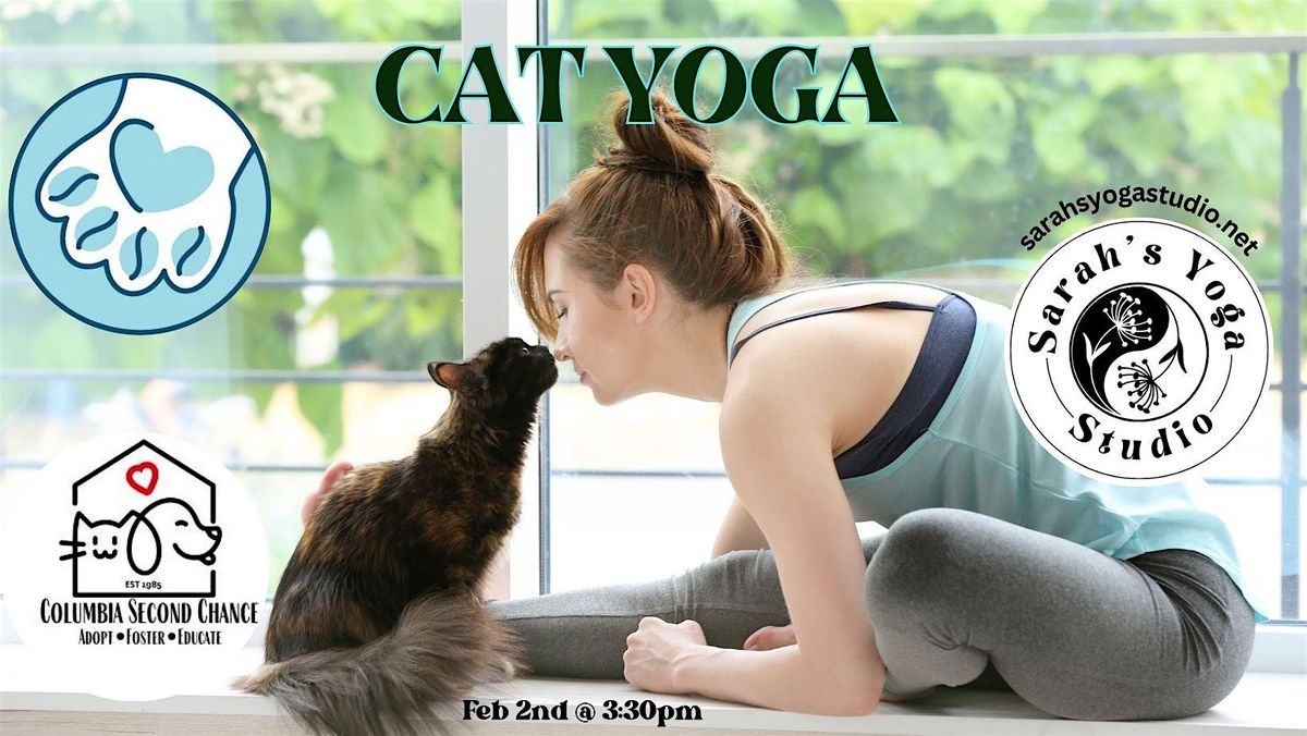 Cat Yoga at Bertha's Beans with Sarah's Yoga Studio