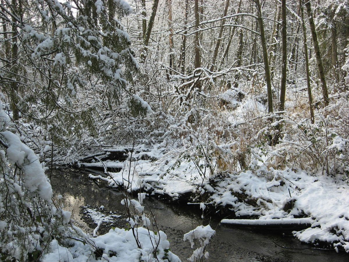 2025 Puget Sound  Forest Owners' Winter School