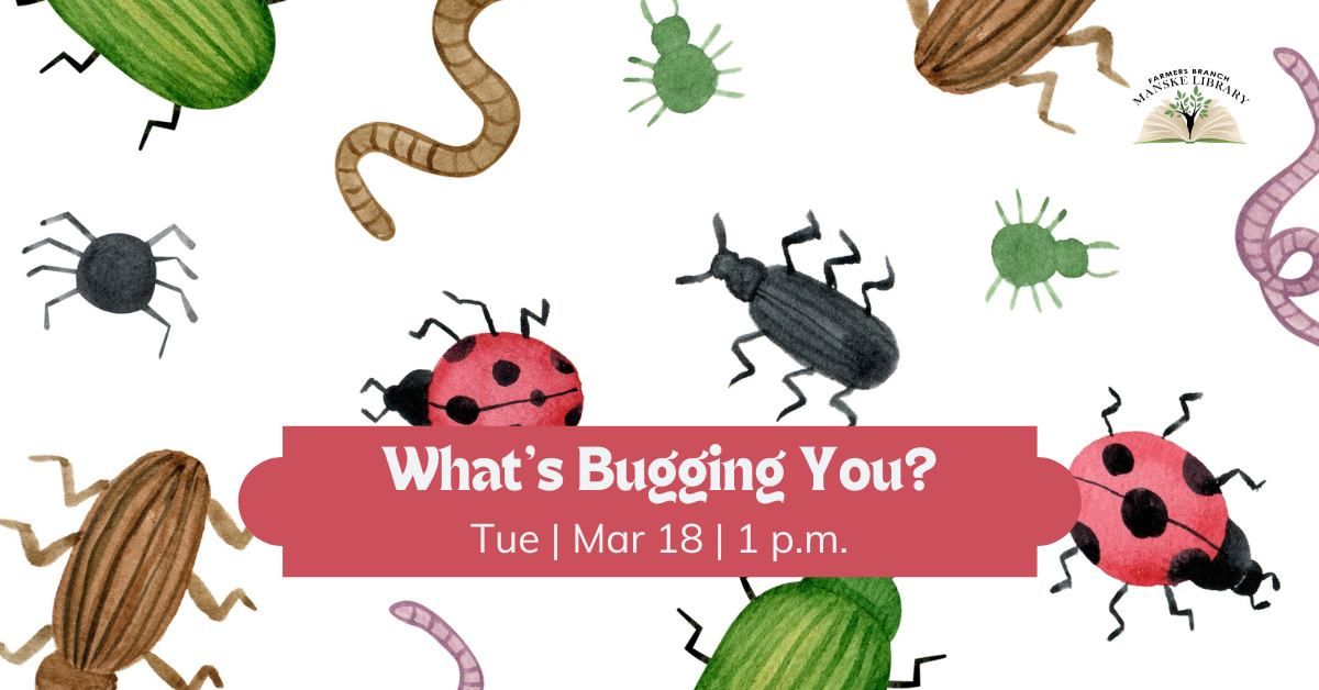 What's Bugging You?