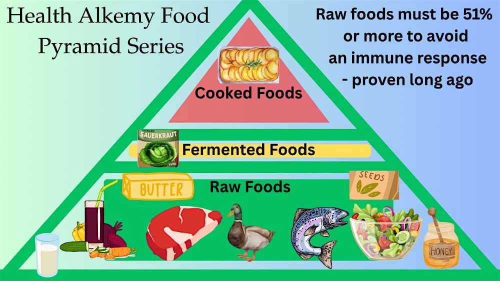 Health Alkemy Food Prep and Cooking Series