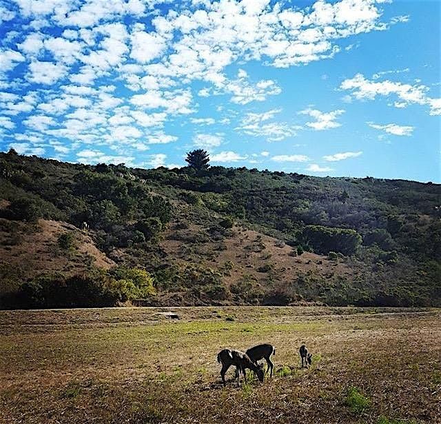 Nature Hike - San Pedro Valley Park
