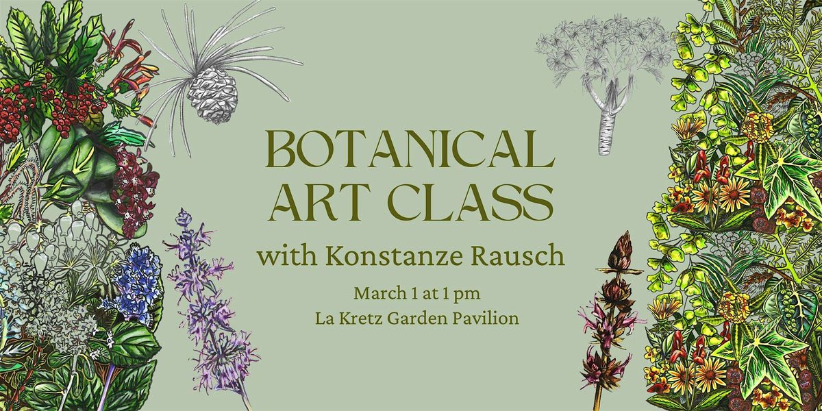 Botanical Art Class