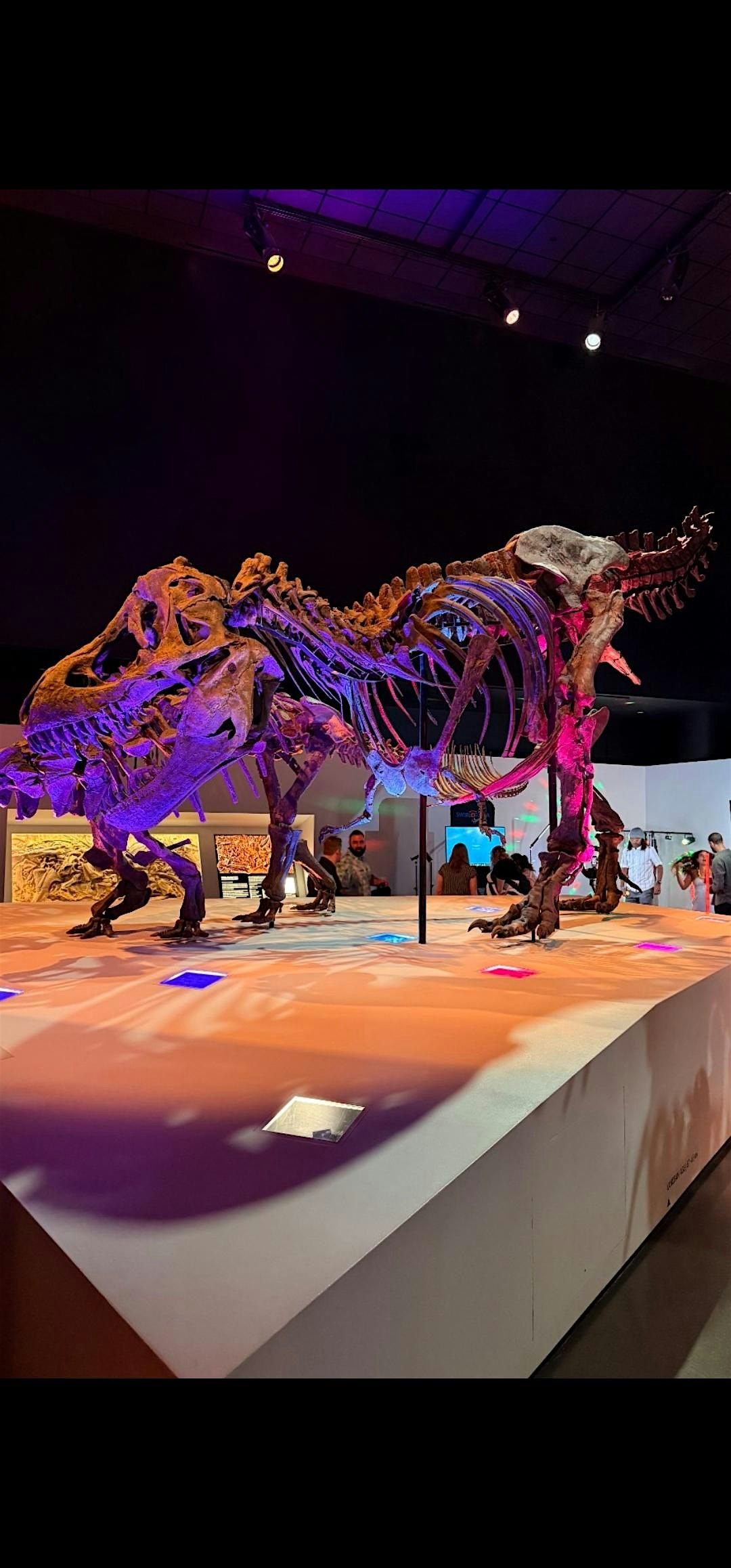 Singles Mixer Latin Night at HMNS!