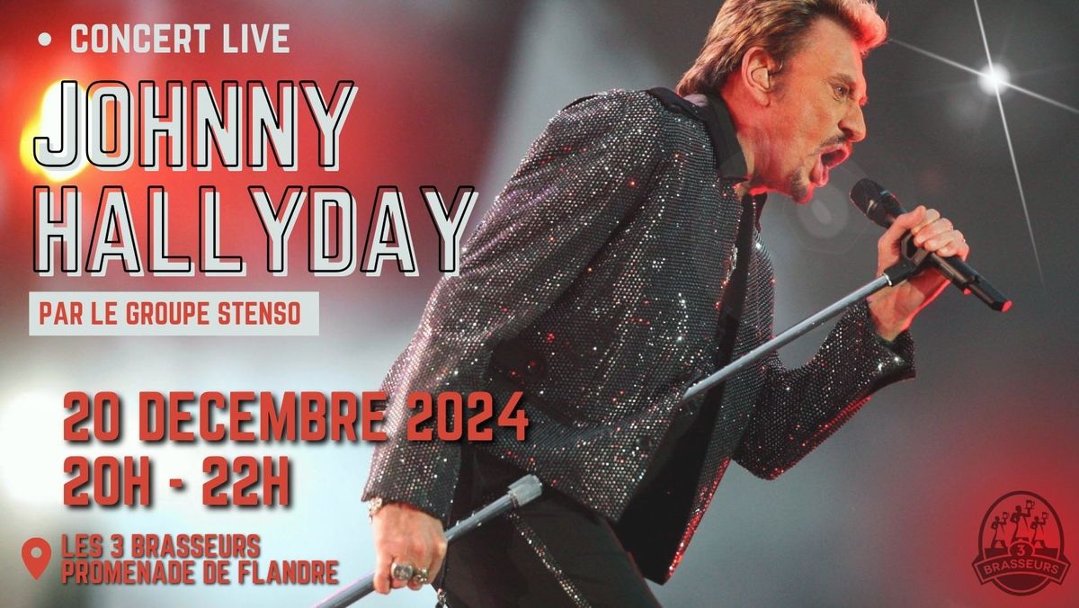 Concert 100% Johnny par Stenso