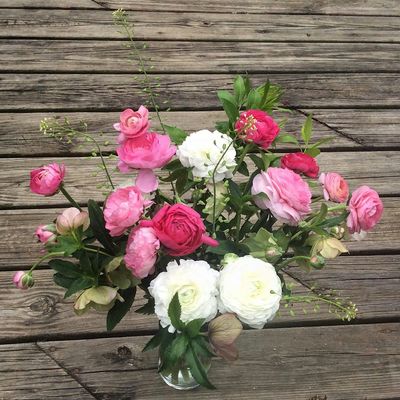 EcoBlossoms Farm