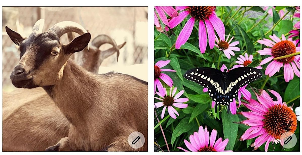 Art In The Garden (A Poetry & Open Mic Event)