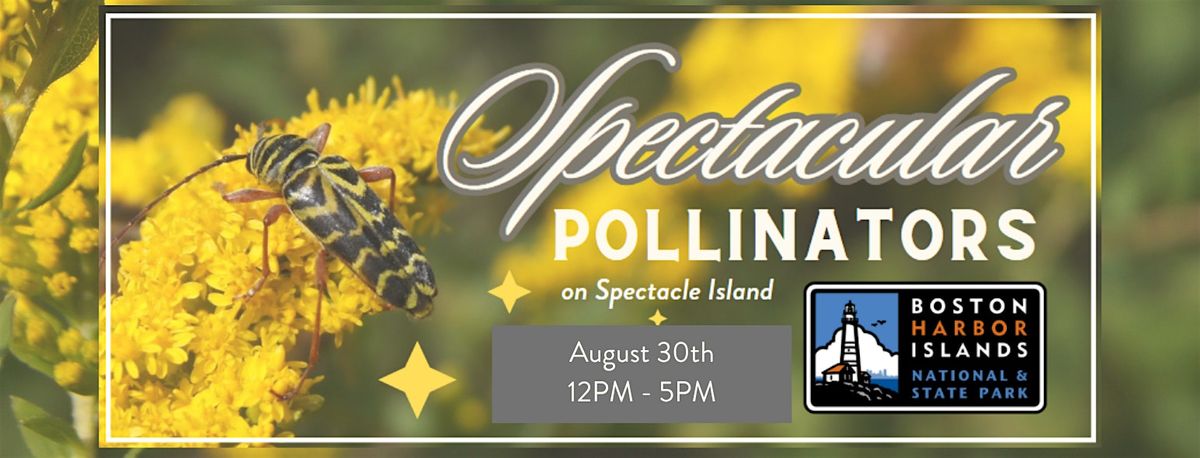 Spectacular Pollinators on Spectacle Island