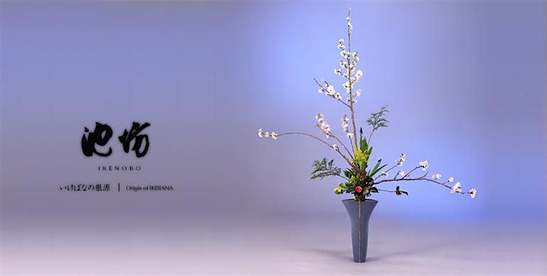 Invitation to Ikenobo Ikebana - Continuing Classes in Boulder CO (June)