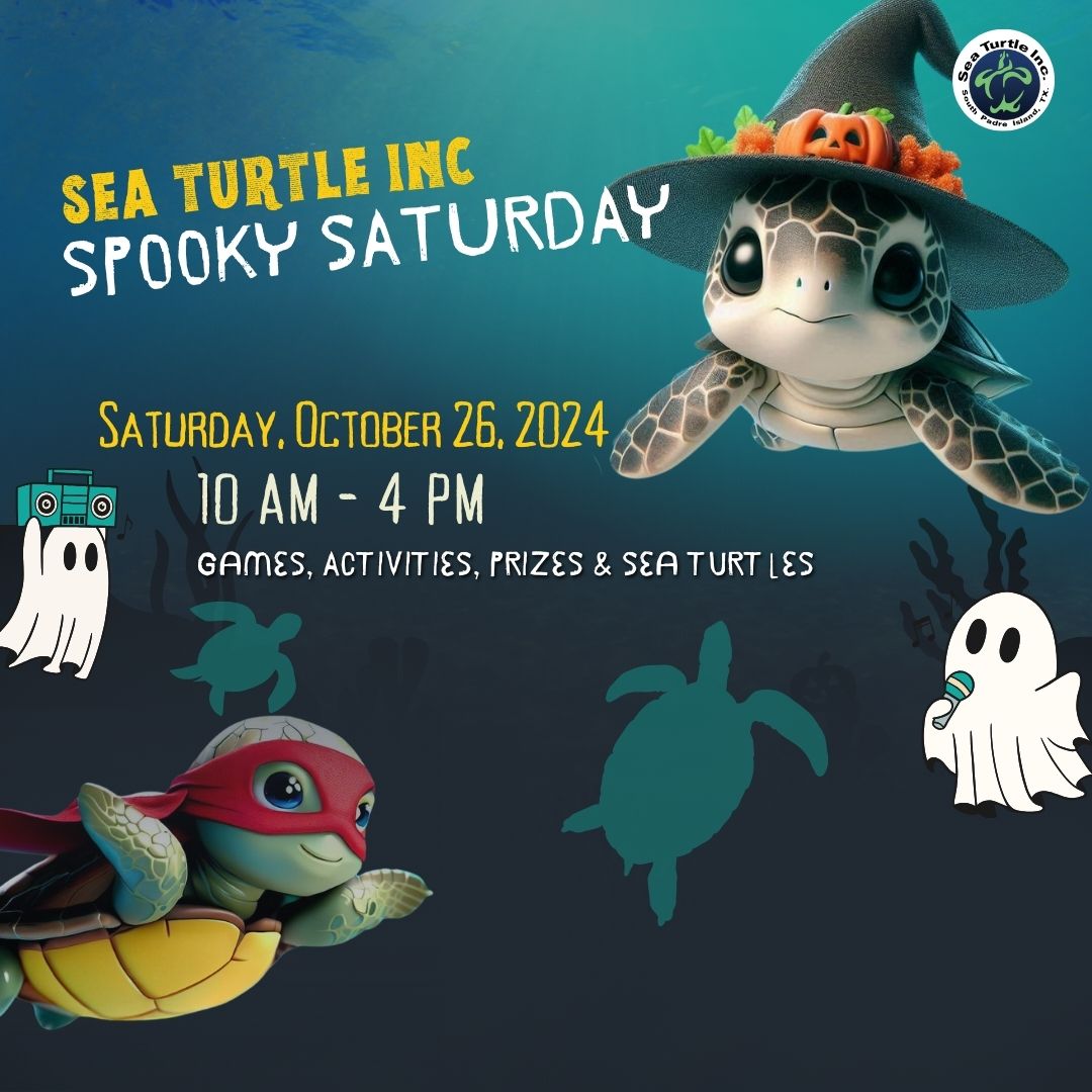 Sea Turtle Inc. Spooky Saturday