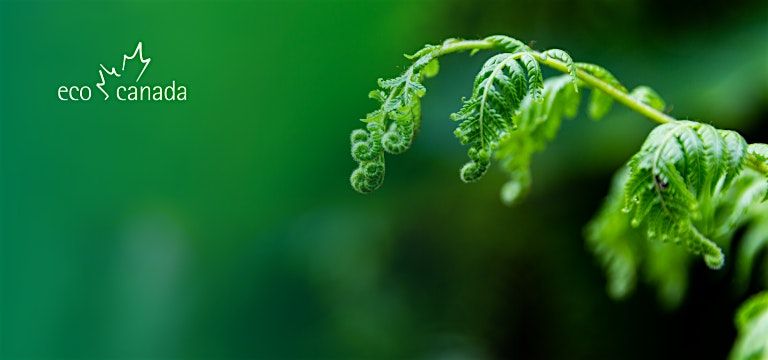 Building Inclusive Environmental Businesses
