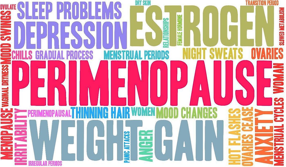 Vibrant You - Blueprint for Navigating Perimenopause Like a Boss!