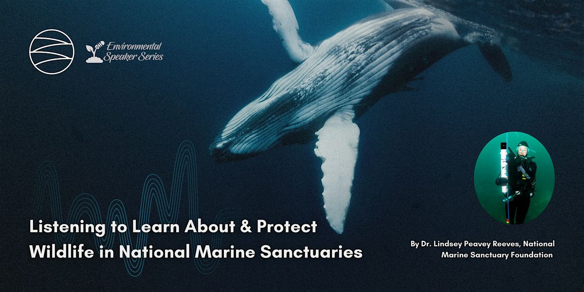 Listening to Learn About & Protect Wildlife in National Marine Sanctuaries