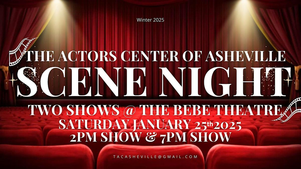 The Actors Center of Asheville's Winter Scene Night - EVENING 7pm